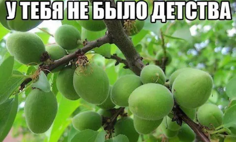 У тебя не было детства