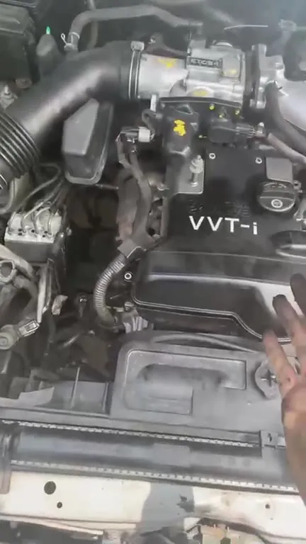 Mechanic Finds the Oil Leak