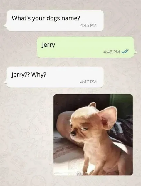 Jerry Dog Name Confusion