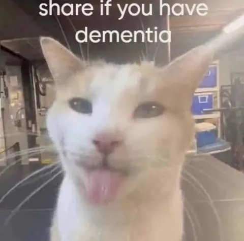 Share If You Have Dementia Cat
