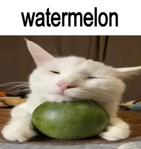 Cat Hugging a Watermelon