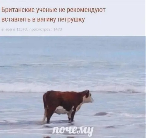 Британские учёные не рекомендуют