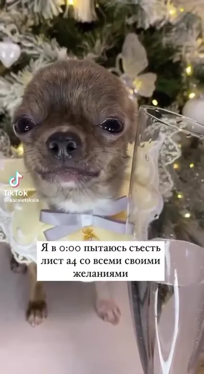 Съесть лист А4 со всеми желаниями