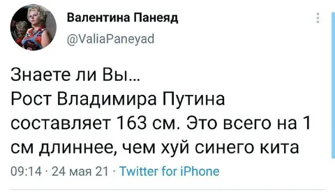 Рост Путина и синий кит