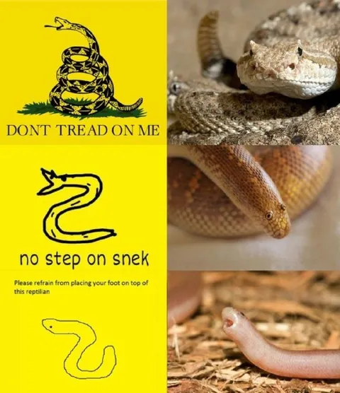 No Step on Snek Snake Signs