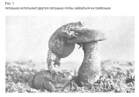 Лягушка использует другую лягушку