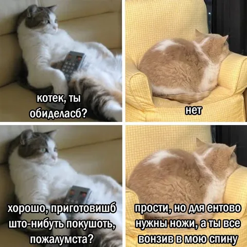 Котек, ты обиделась?