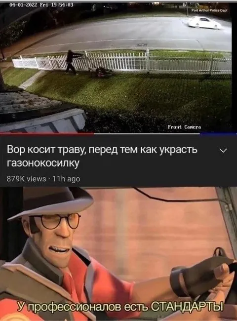 Профессиональные стандарты вора