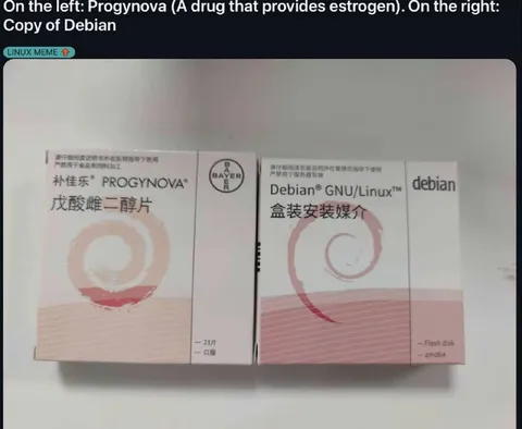 Progynova Copy of Debian