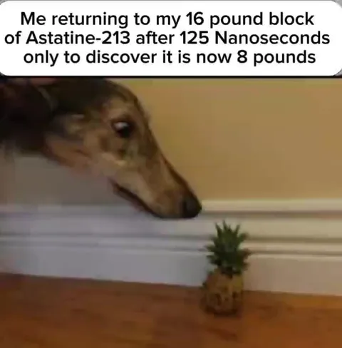 Greyhound Returns to Half Its Astatine