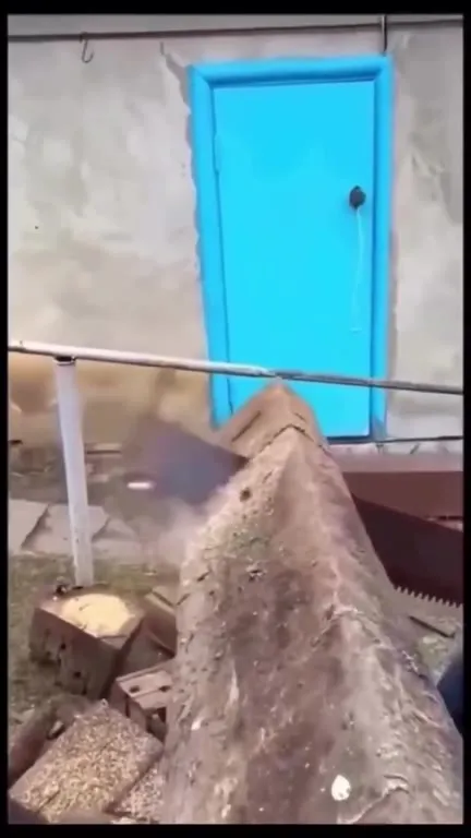 Бревно превращается в рёв медведя