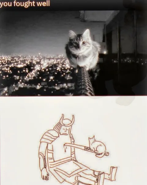 You Fought Well Cat