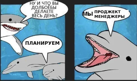 Мы проджект менеджеры