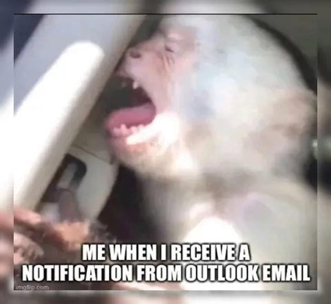 Cat Screams at Outlook Email
