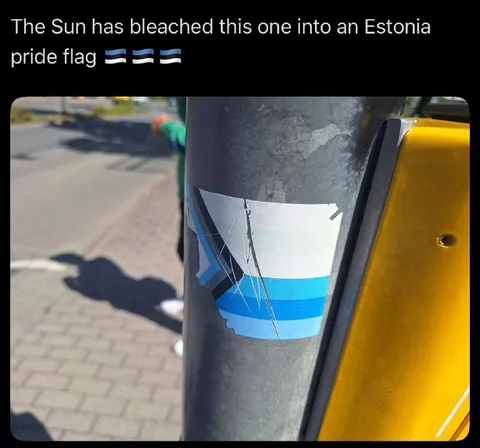 Sun-Bleached Estonia Pride Flag