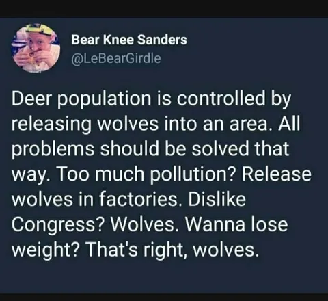 Release Wolves For Everything
