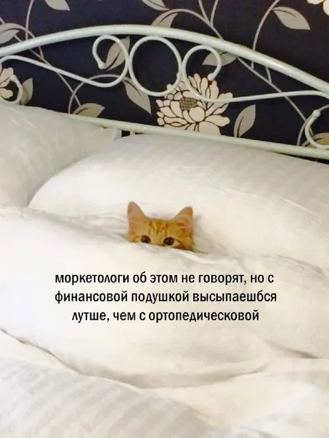 Финансовая подушка лучше ортопедической