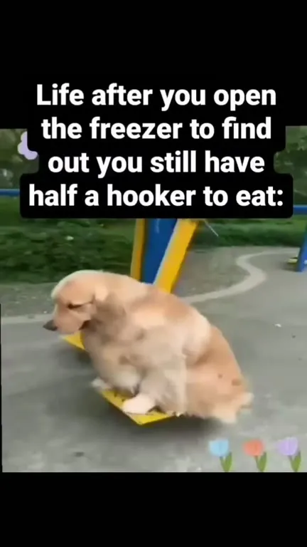 Life After Finding Half a Hooker
