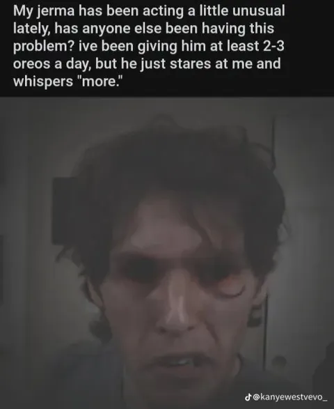 Jerma Stares at Me