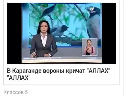 Вороны кричат «Аллах»