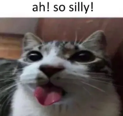 Ah! So Silly Cat