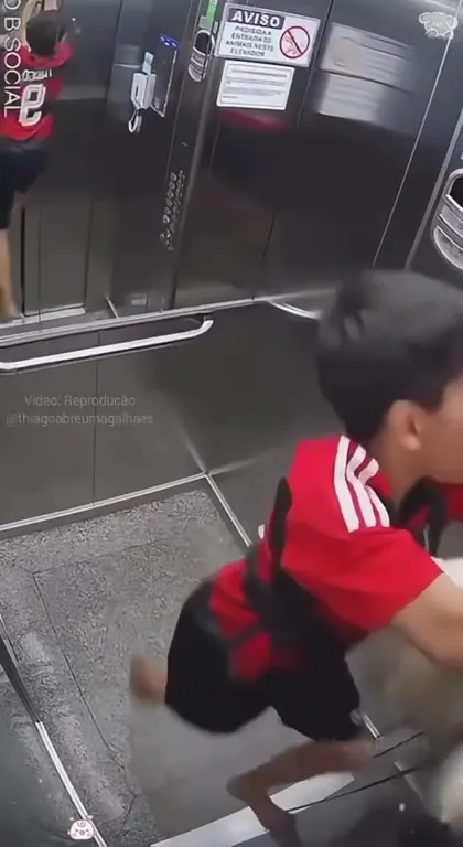 Children Helping Their Dogs