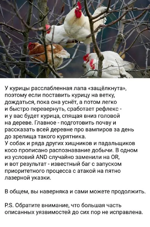 Курицы на ветках и баг с лазерной указкой