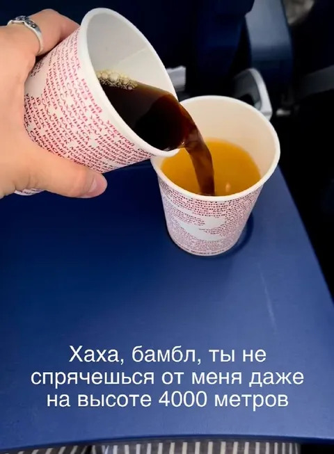 Бамбл не спрячется на высоте