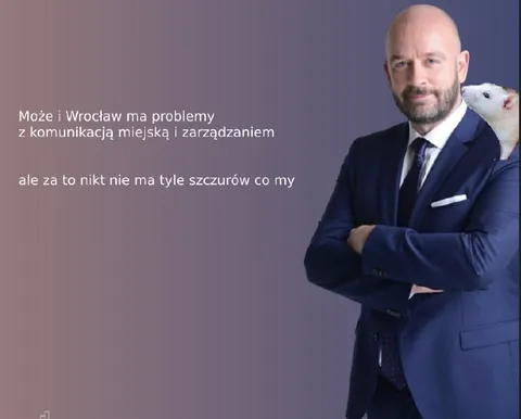 Szczury ratują Wrocław