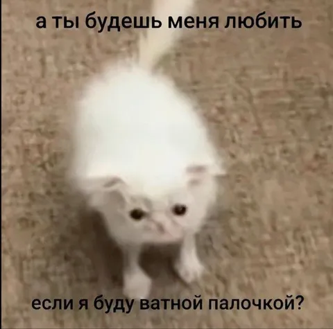 Кот и ватная палочка