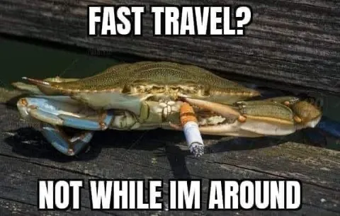 Fast Travel? Not While I'm Around