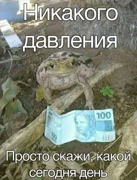 Никакого давления, просто скажи день