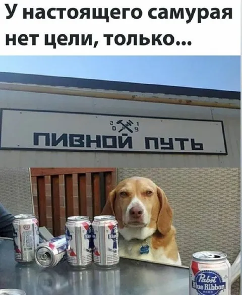 У настоящего самурая нет цели