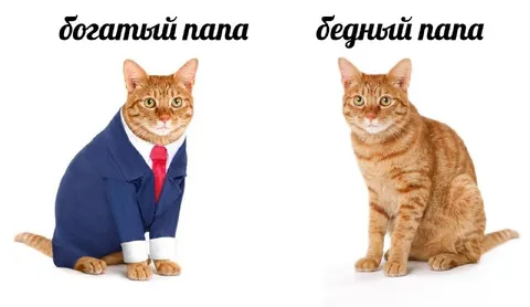 Богатый папа и бедный папа