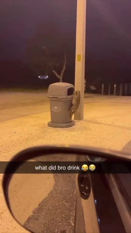 What Did Bro Drink