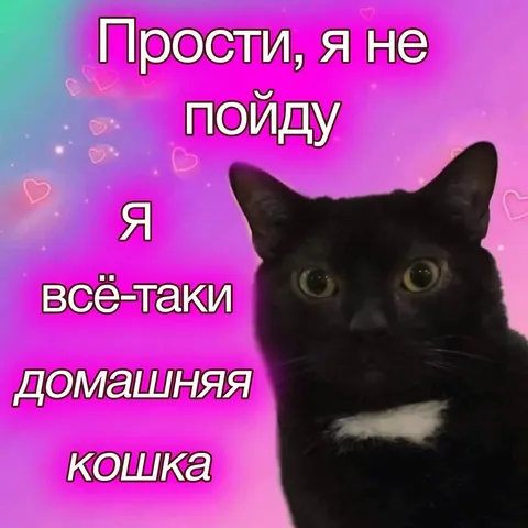 Прости, я не пойду