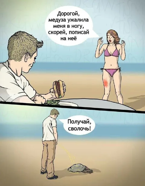 Медуза и бутерброд