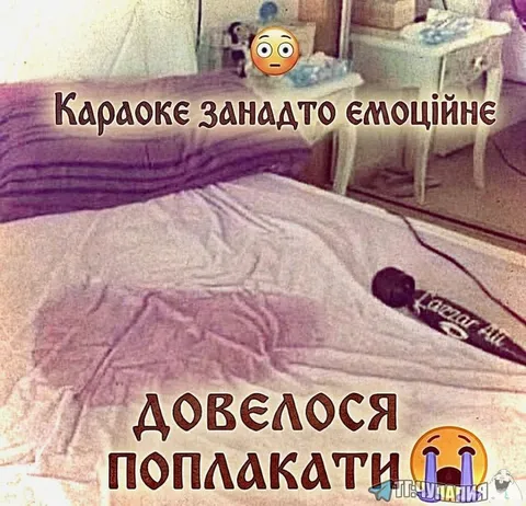 Караоке змусило плакати