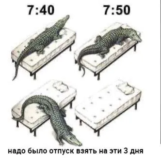 Надо было отпуск взять