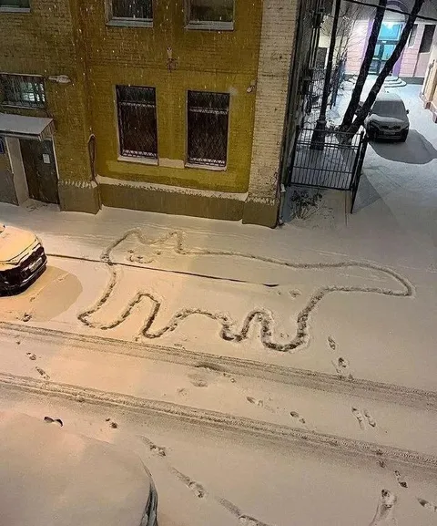 Письмо в снегу