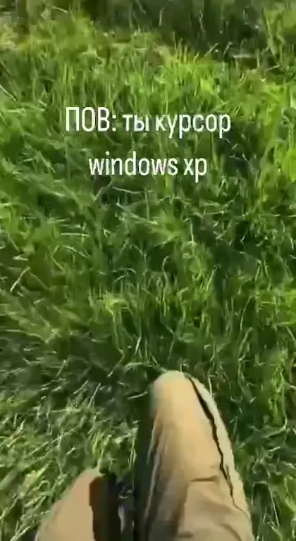 Курсор Windows XP гуляет по полю