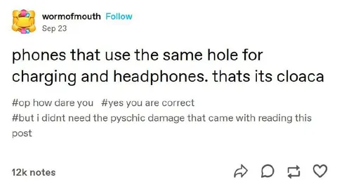 Phone Charging Port Cloaca