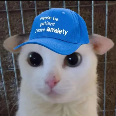 Cat With Anxiety Cap