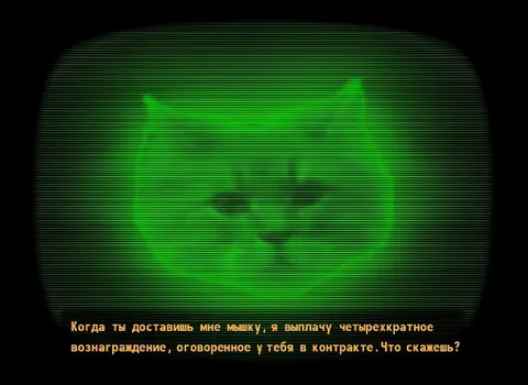 Кот требует доставить мышку