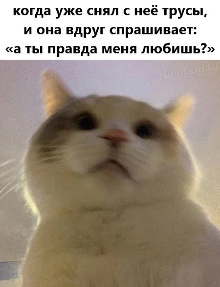 Когда она спрашивает о любви