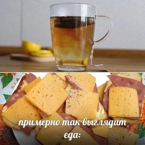 Примерно так выглядят яйца