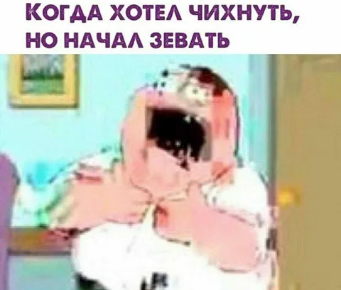 Хотел чихнуть, но начал зевать