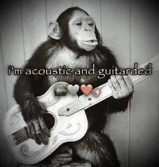 Acoustic and Guitarded Chimpanzee
