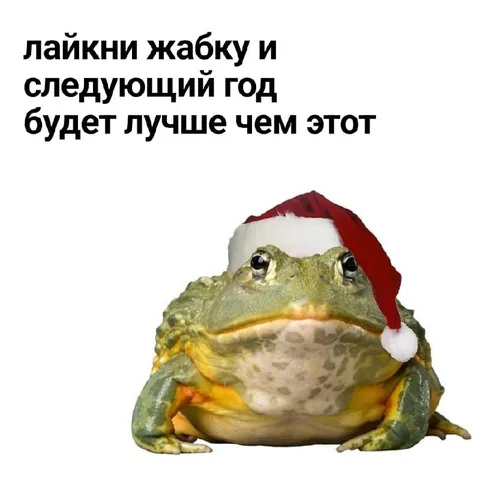 Лягушка обещает лучший год