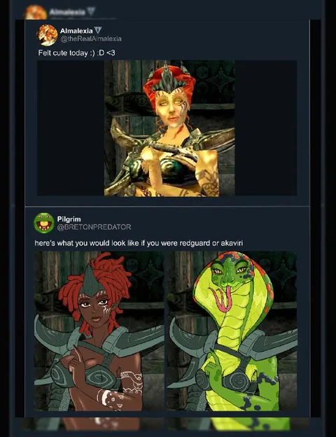 Redguard or Akaviri Appearance